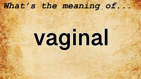 vagene|Vagina Definition & Meaning .